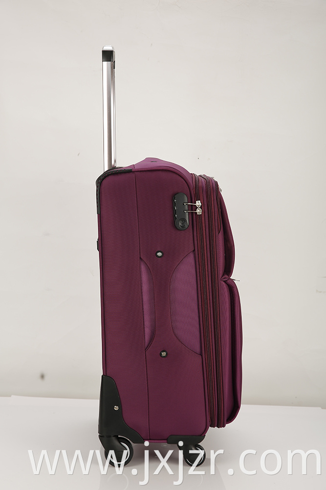 Purple Luggage Case